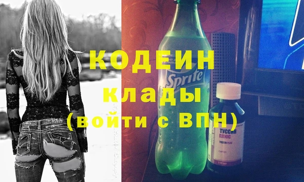 амф Арсеньев