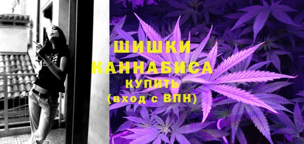 амф Арсеньев
