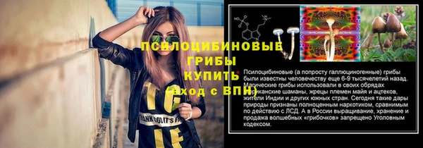 амф Арсеньев